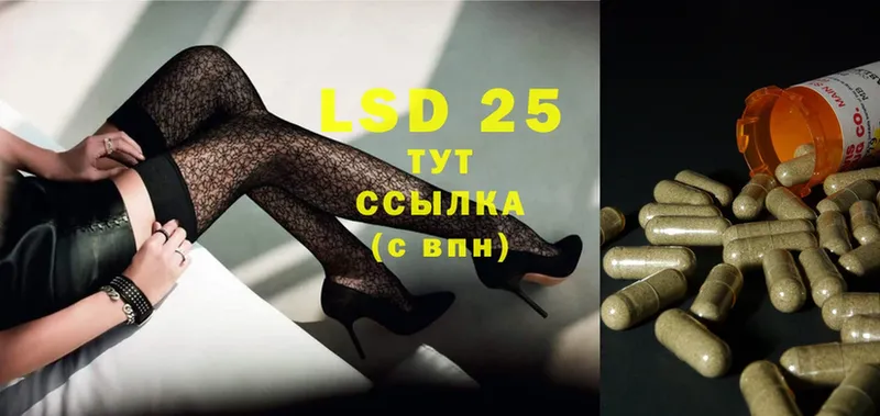 KRAKEN ссылки  Сертолово  нарко площадка формула  LSD-25 экстази ecstasy 